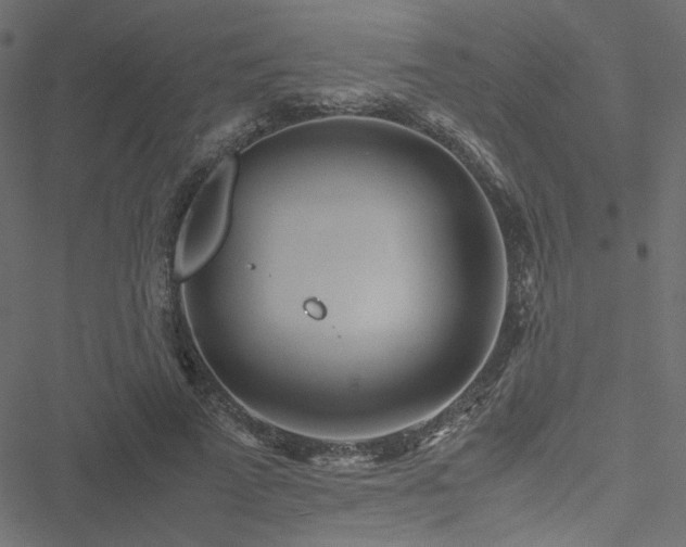 X0000051250689200506171136