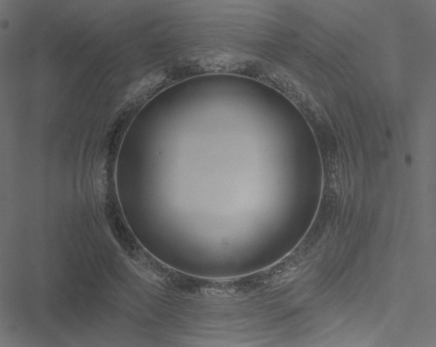 X0000051250690200506171136