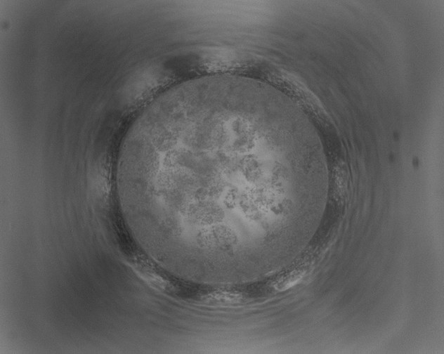 X0000051250691200506171136