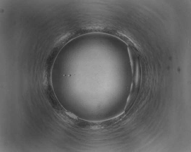 X0000051250692200506171136