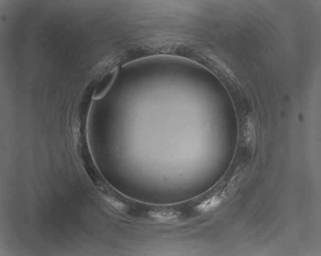 X0000051250693200506171136