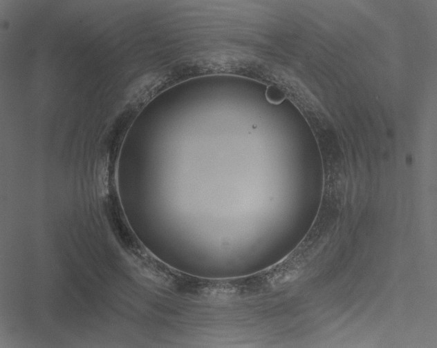 X0000051250694200506171136