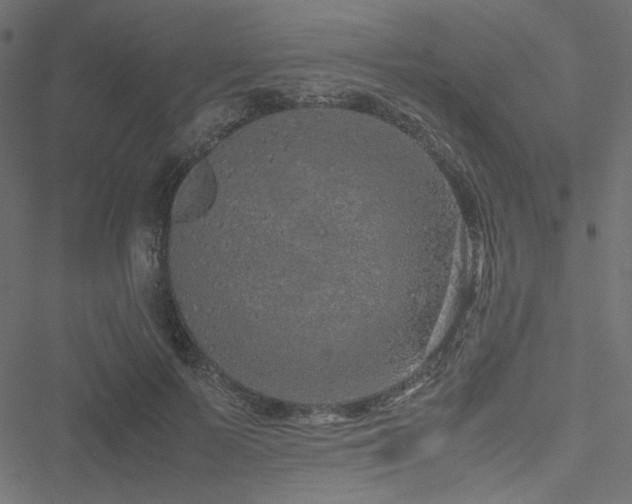 X0000051250695200506171136