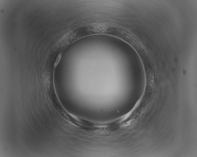 X0000051250697200506171136