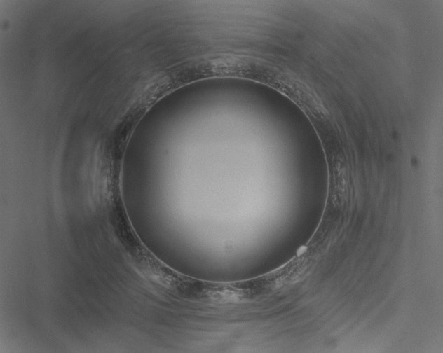 X0000051250698200506171136