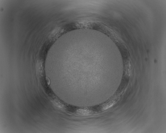 X0000051250699200506171136