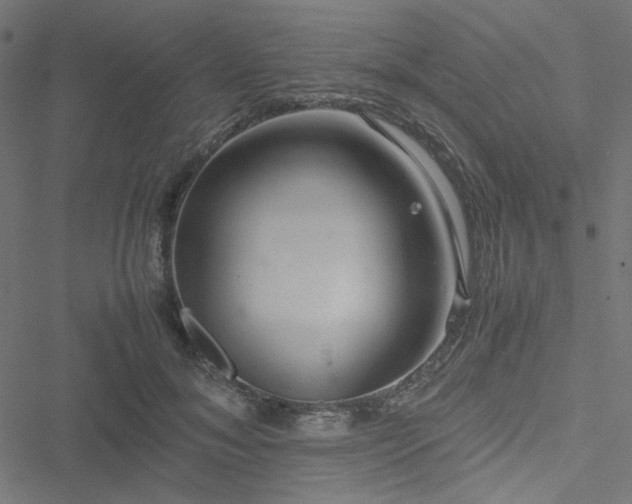 X0000051250700200506171136