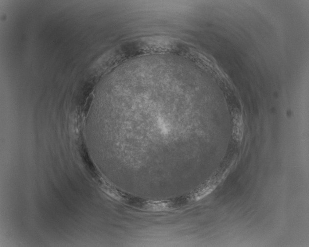 X0000051250701200506171136