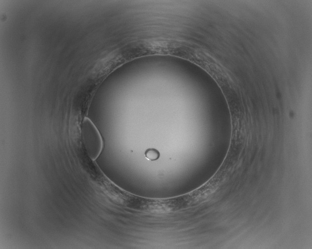 X0000051250702200506171136