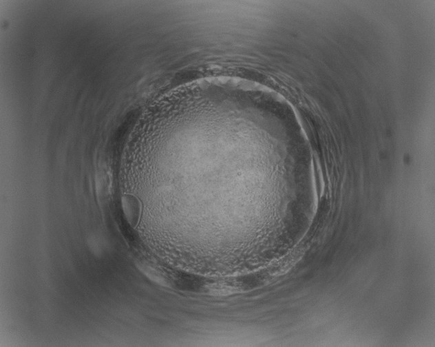 X0000051250703200506171136