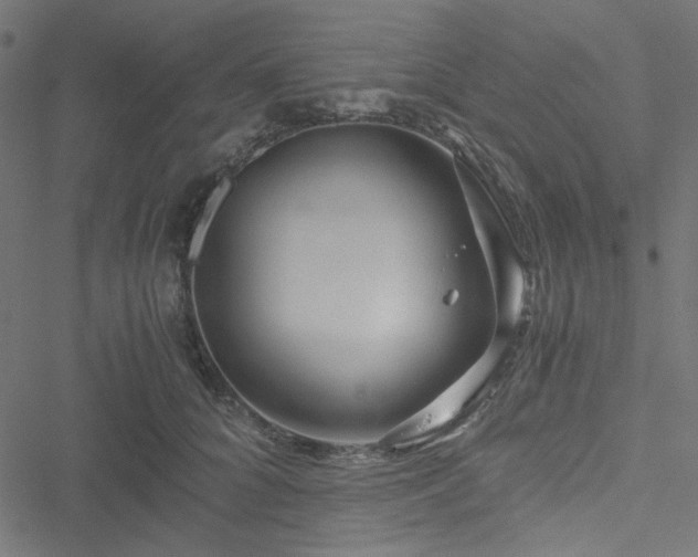 X0000051250704200506171136