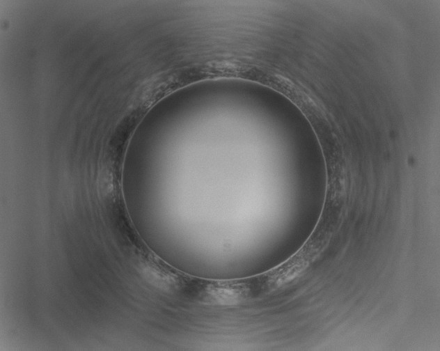 X0000051250706200506171136