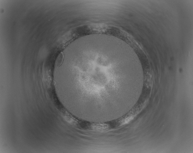 X0000051250707200506171136