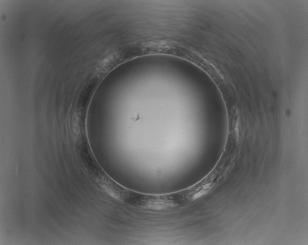 X0000051250708200506171136