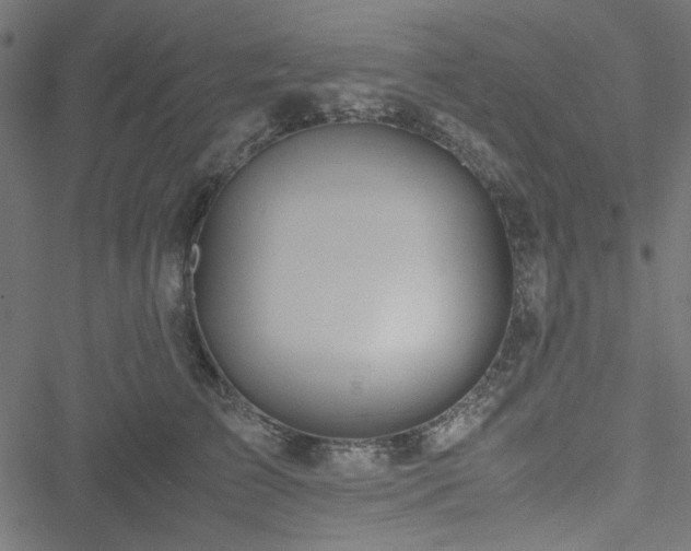 X0000051250709200506171136