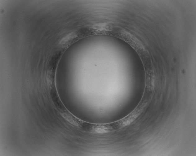 X0000051250710200506171136