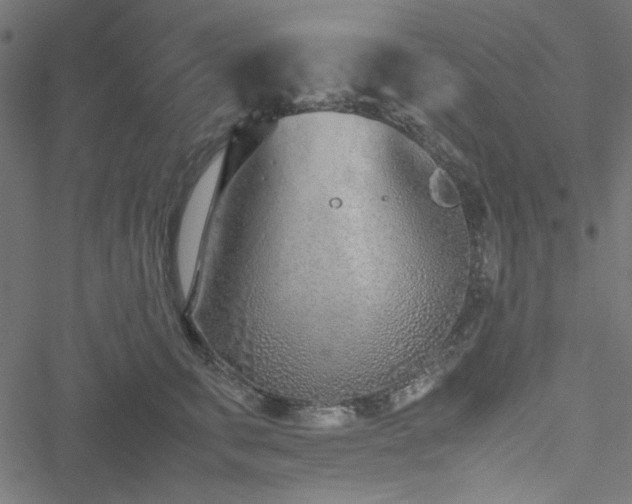 X0000051250711200506171136