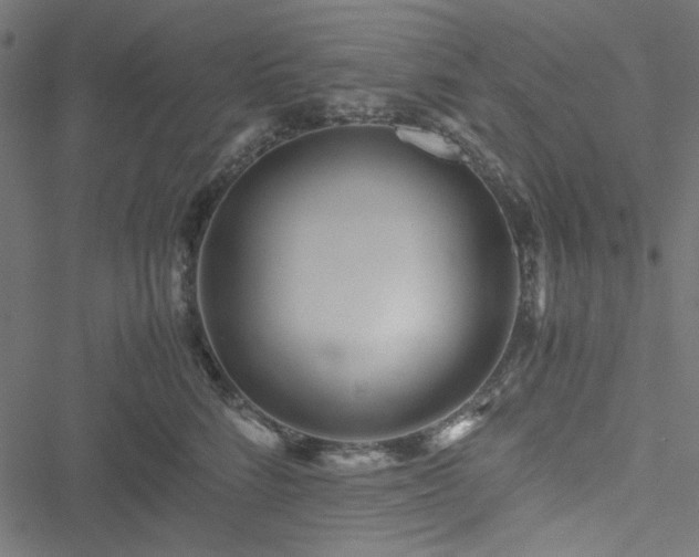 X0000051250712200506171136