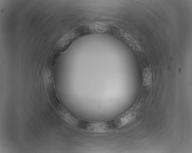 X0000051250713200506171136