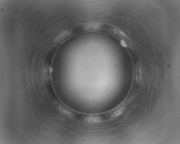 X0000051250714200506171136