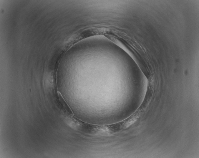 X0000051250715200506171136