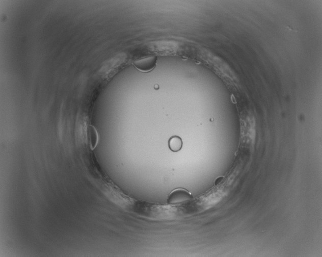 X0000051250717200506171136