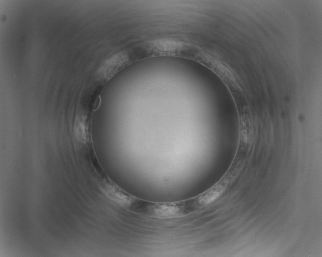 X0000051250718200506171136