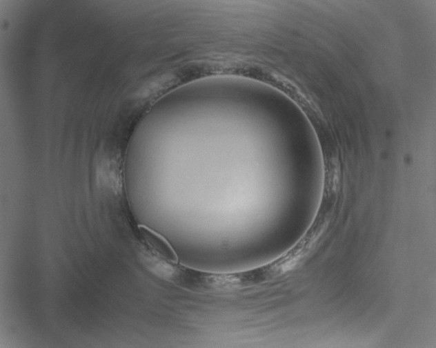 X0000051250719200506171136