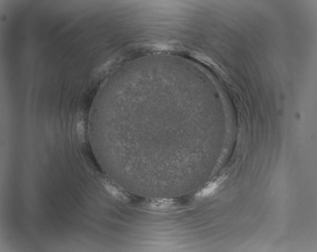 X0000051250720200506171135