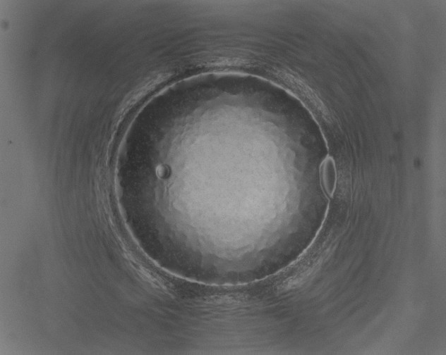 X0000051250721200506171135