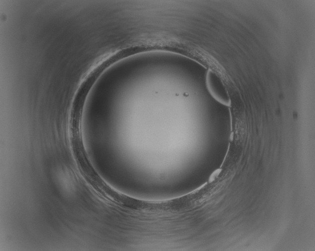 X0000051250722200506171135