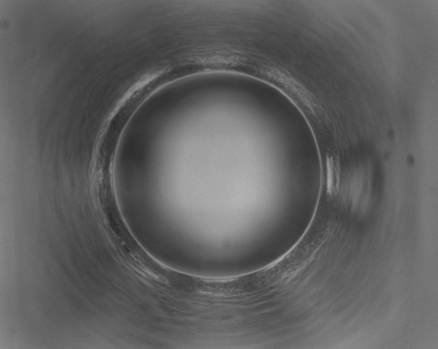 X0000051250723200506171135