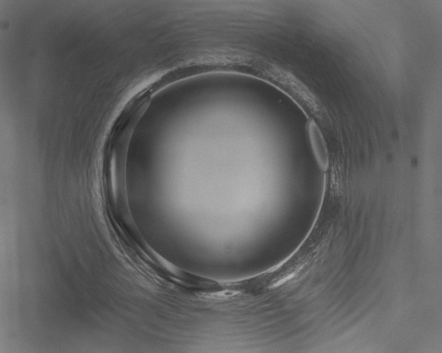 X0000051250724200506171135