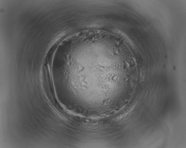 X0000051250725200506171135