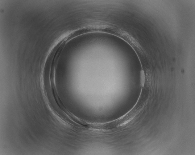 X0000051250726200506171135