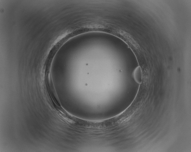 X0000051250727200506171135