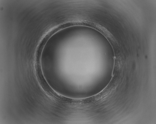 X0000051250728200506171135