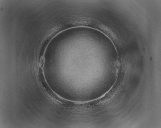 X0000051250729200506171135