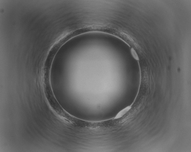 X0000051250730200506171135