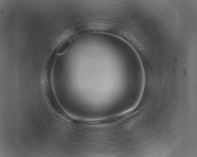 X0000051250731200506171135