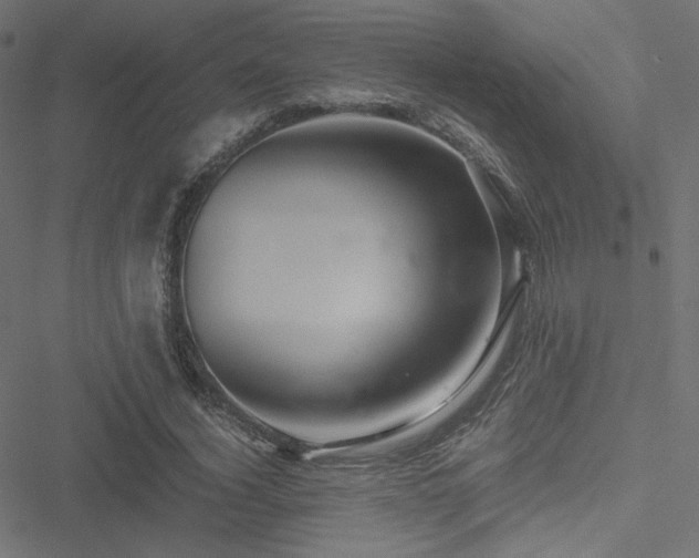 X0000051250732200506171135