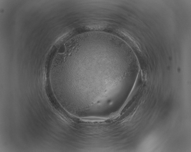 X0000051250733200506171135