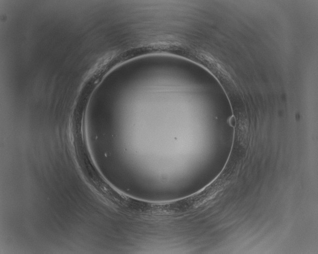 X0000051250734200506171135