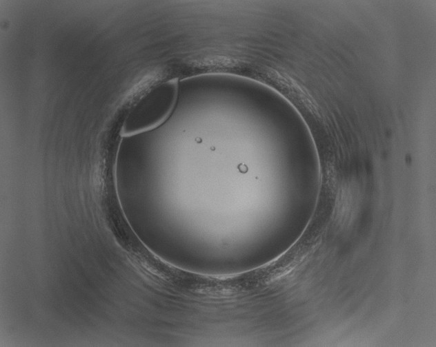 X0000051250735200506171135