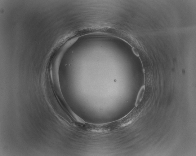 X0000051250736200506171135