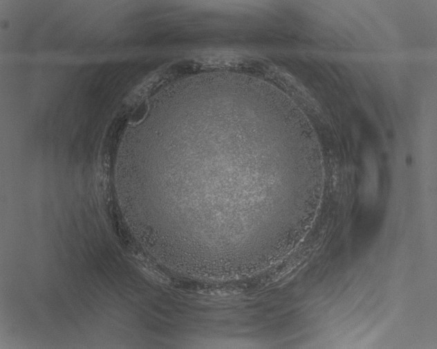 X0000051250737200506171135