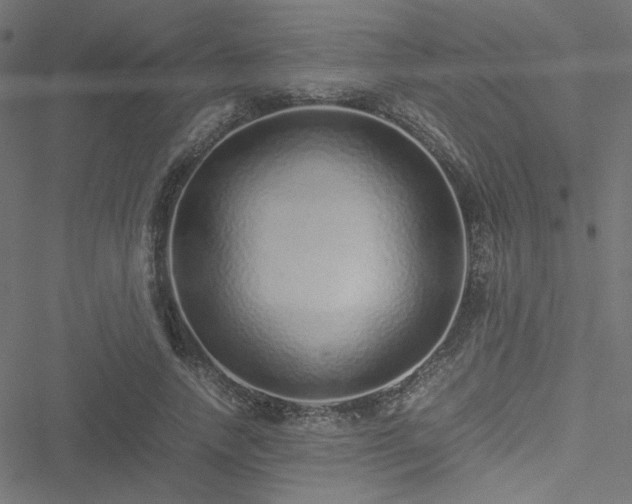 X0000051250738200506171135