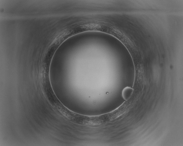 X0000051250739200506171135