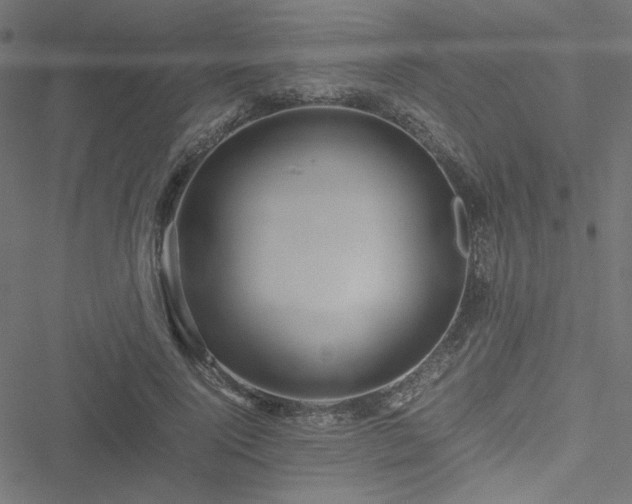 X0000051250740200506171135