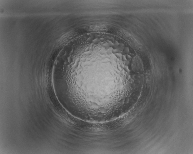 X0000051250741200506171135